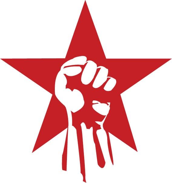 DYFI Logo